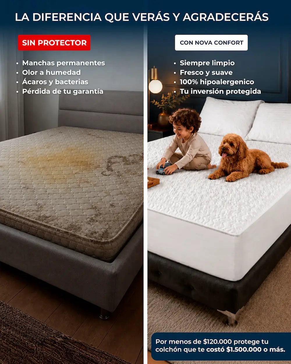 Protector Termosellado® - Antifluidos